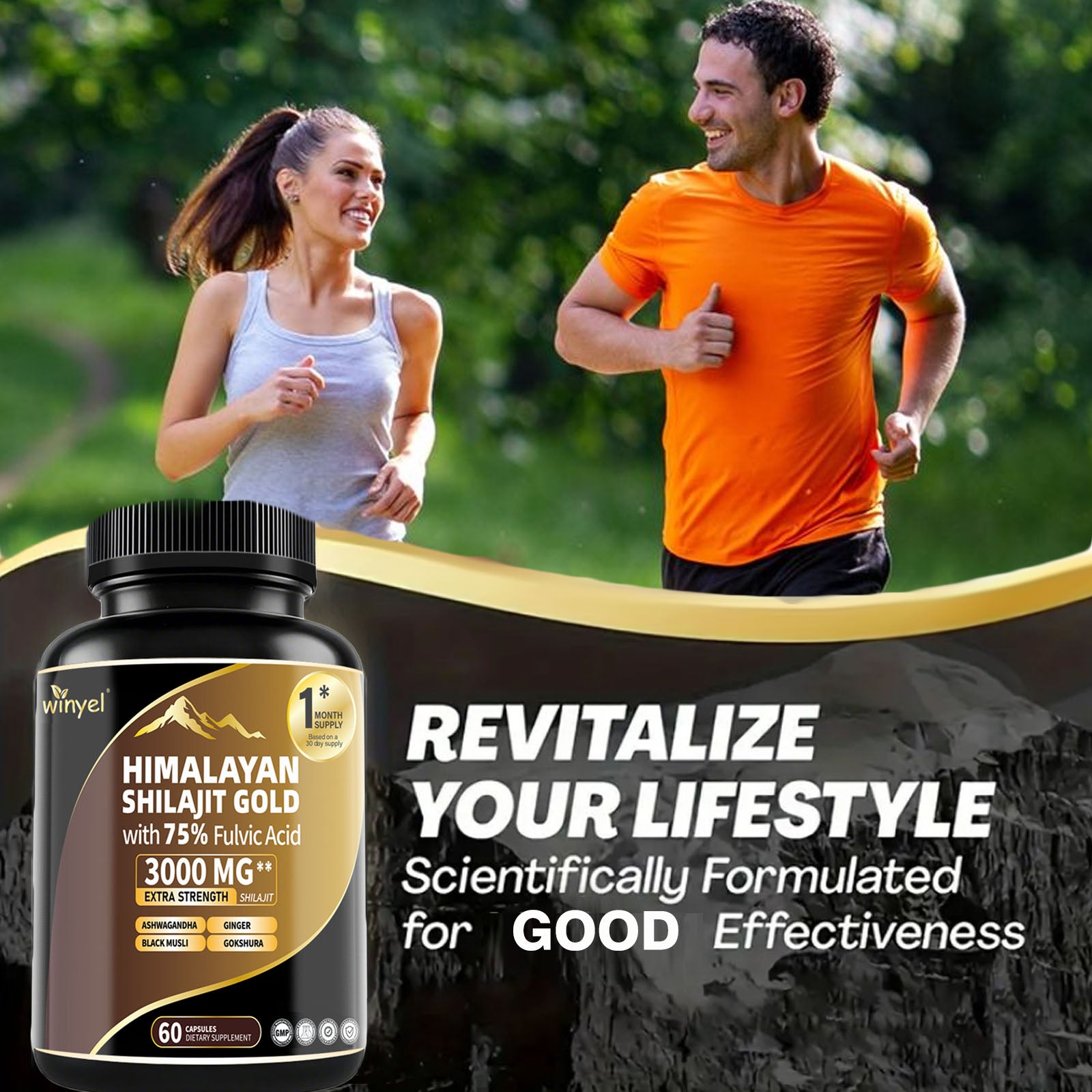 Himalayan Shilajit Capsules: Gold Grade Supplement | HealingVeda
