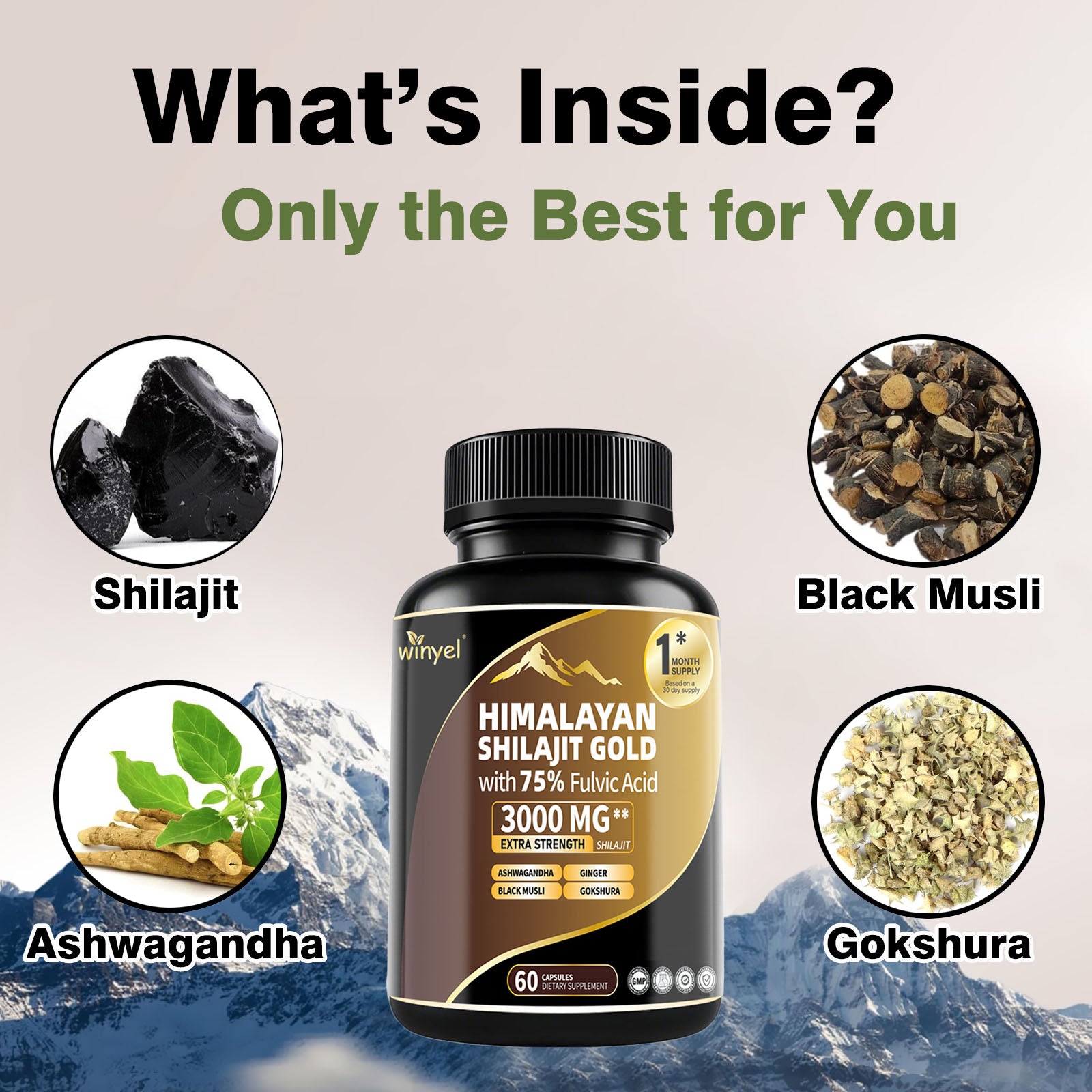 Himalayan Shilajit Capsules: Gold Grade Supplement | HealingVeda